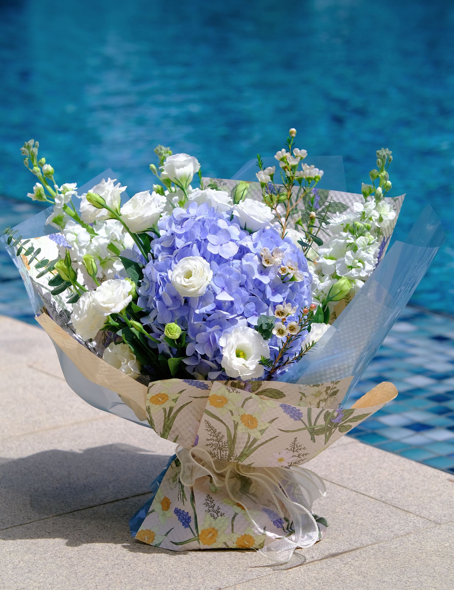 baby blue hydrangeas